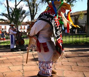 Danza de los viejitos